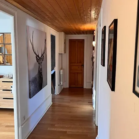 Spacious 125 M Appt In Chamonix-mont-blanc Chamonix